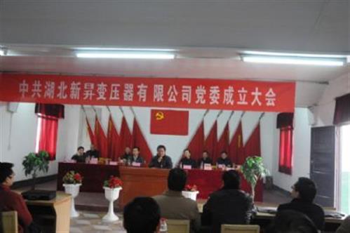 公司党委成立大会大图