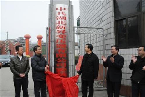 2010年公司揭牌活动大图